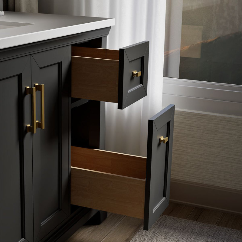 Charlemont 48 In. Bathroom Vanity Cabinet With Sink And Quartz Top, Dark Warm Gray