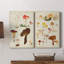 Toile tendue avec châssis Mushroom Species-108962929