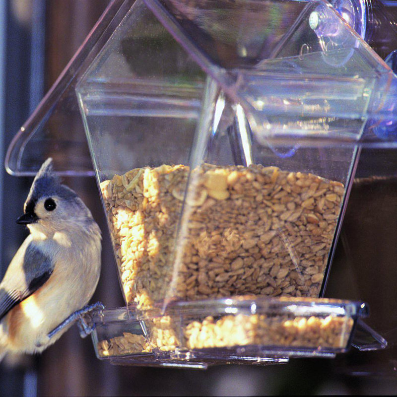Kizer Window Hopper Bird Feeder