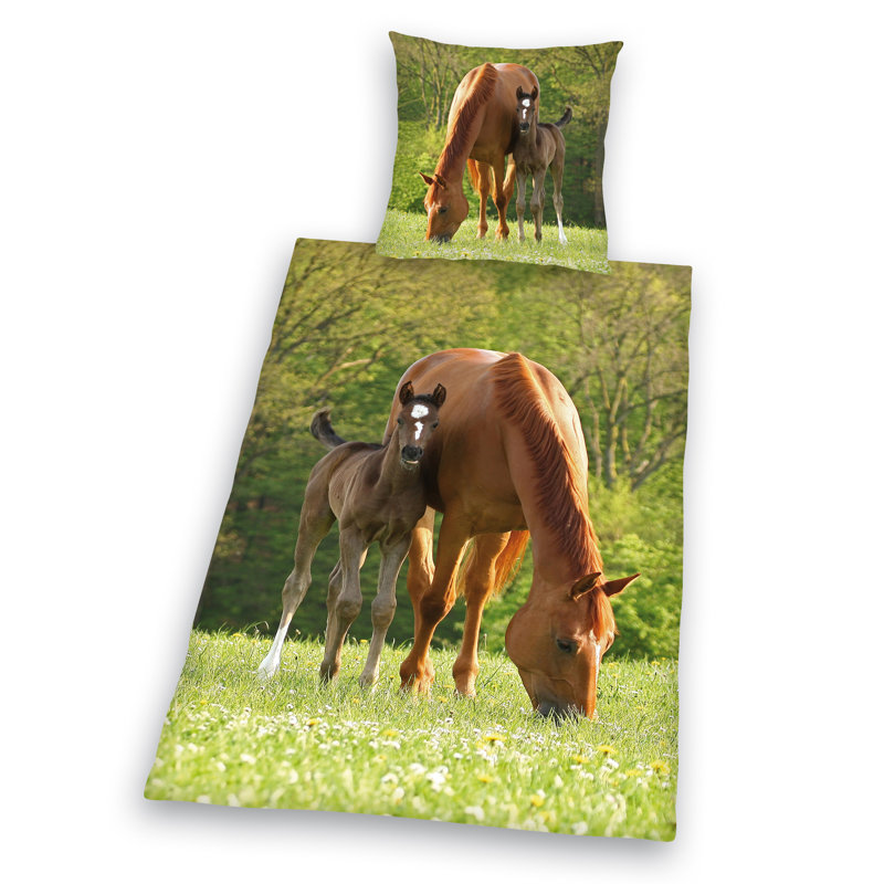Young Collection Duvet Cover Set