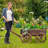  Akhavi Fir Wood Wheelbarrow Planter