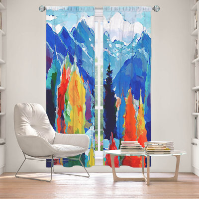 Delaini Room Darkening Curtain Pair