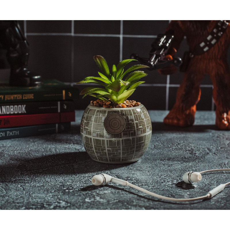 5.5'' Faux Succulent in Pot