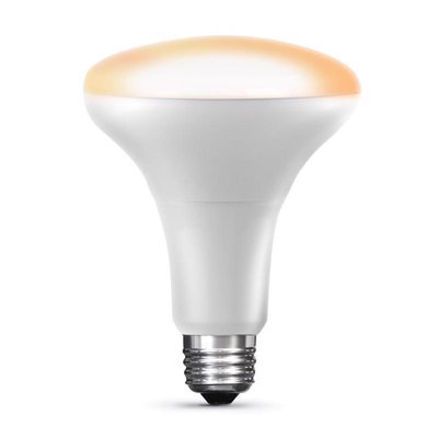 Ampoule DEL à culot intelligent Fe30 Smart Home BR30 E26 (moyenne), blanc, équivalente à 65 watts, paquet de 1