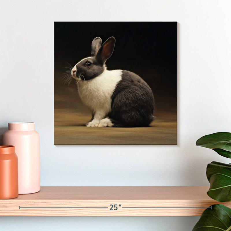 Crowle Rabbit, H 16 po x l 16 po