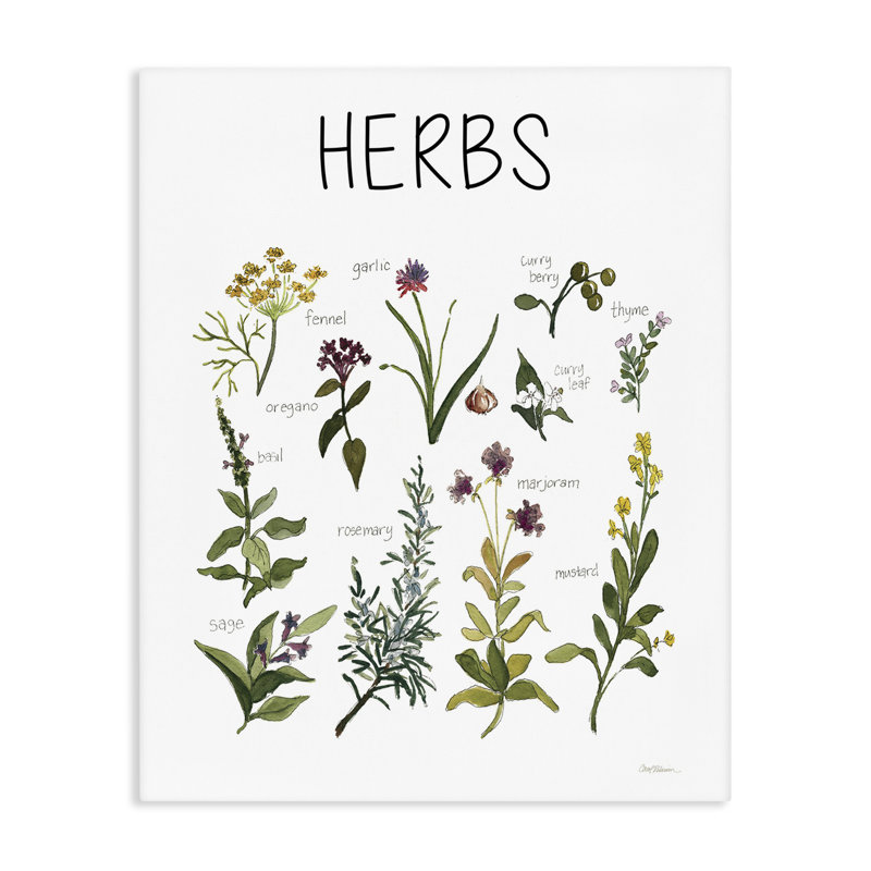 Tableau sur toile Herbs Identification, conception par Carol Robinson, H 30 po x l 24 po