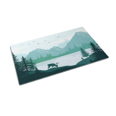 Non-Slip Outdoor Doormat