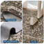 Tapis 10 po x 13 po Boho-759766313-759766318