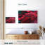 Plume Brampt-108708112
