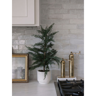 SEASONAL GREENERY TREE S/2 CEDAR POT 2FT