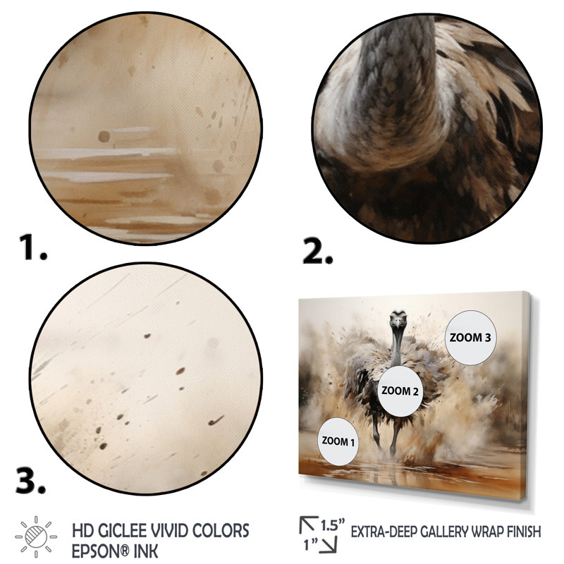 Autruches d'Afrique, impression sur toile, Cadre naturel flottant, H 16 po x l 32 po x P 1 po
