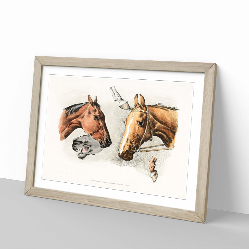 Horse Heads and Hoofs by Henry Alken - Framed Print, 48cm H x 65cm W x 2cm D, Oak Framed