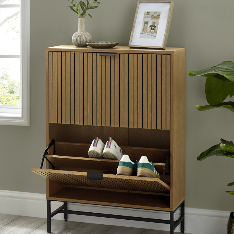 2 Door Shoe Storage Cabinet