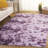 Ziska Shag Performance Abstract Rug-256535891