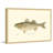 "Bass" Framed Print-18742125