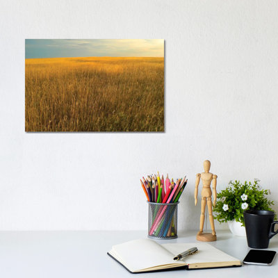 Upper Prairie In Badlands National Park, South Dakota by Tim Fitzharris - Wrapped Canvas Gallery-Wrapped Canvas Giclée