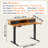 Aleksa Adjustable Metal Base Standing Desk