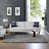 Gray/Ivory/Beige