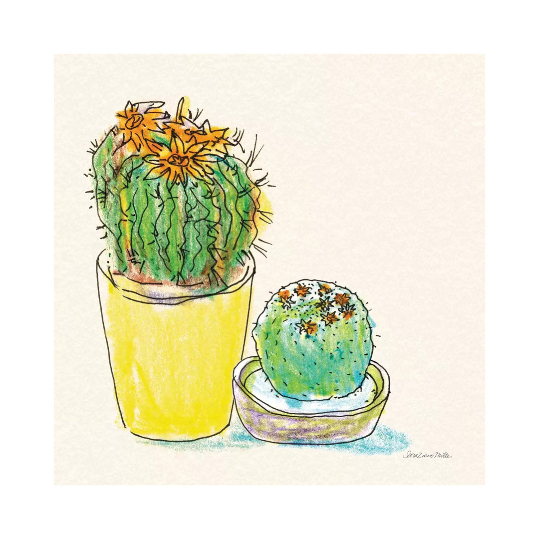 Cacti Garden IV von Sara Zieve Miller - Galerie-umwickelte Leinwand Giclée auf Leinwand