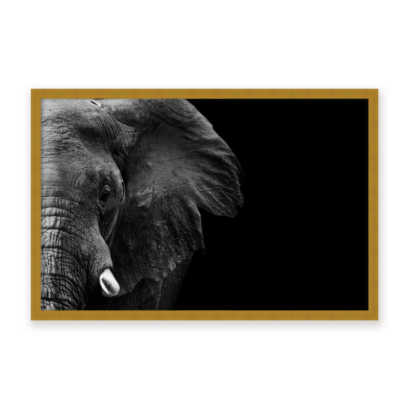 Nature Inspired Elephant by  - Picture Frame Photograph on Paper, 24" H x 36" W x 1.125" D, Framed Matted Print, Black