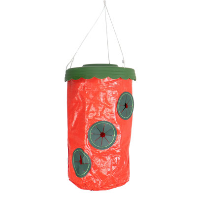 Ghyslaine Hanging Planter