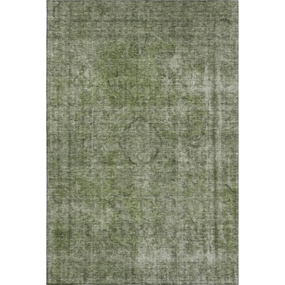 Premium Machine Washable Honig AMF1656 Global Rug