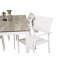 Drishya 6 - Person Patio Dining Set with Rectangular Table