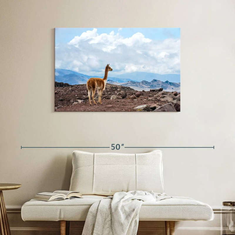 Brampt Vicuna, 26" H x 39" W
