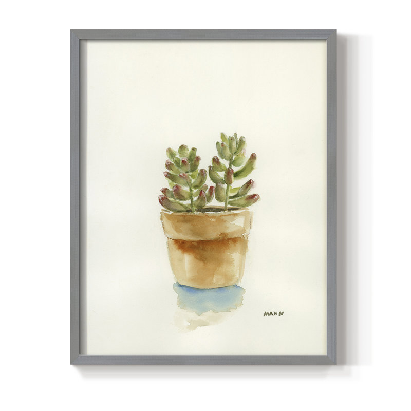 Succulent III, reproduction encadrée - bois massif, H 11 po x l 9 po, Gris