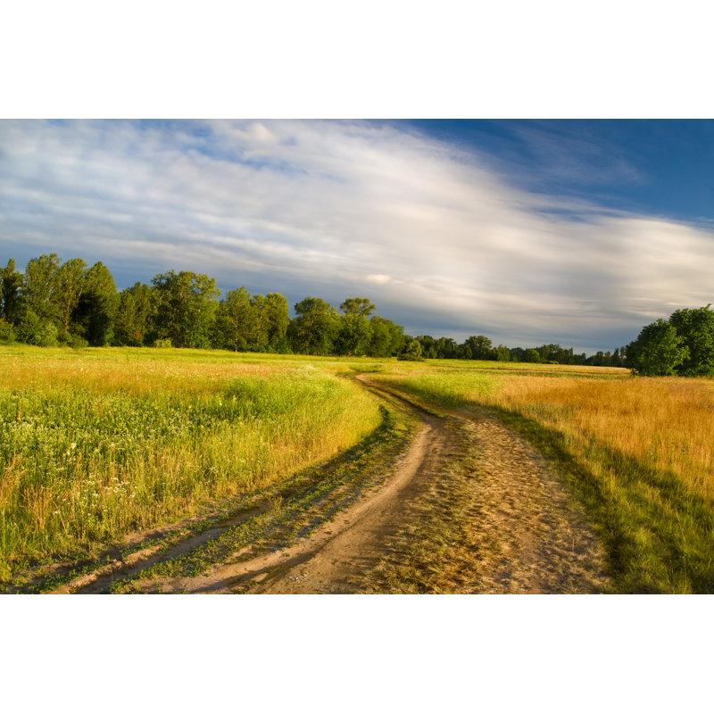 Canoby Beautiful Summer Meadow - Wrapped Canvas Print, 51cm H x 76cm W x 3.8cm D