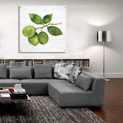  «Citrus Garden 2 Shiplap» par Kathleen Parr, art mural en verre acrylique, 36 po x 36 po