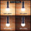 Fryer 10W BA22d Dimmable LED Light Bulb Amber