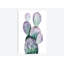 «Purple Cactus II», reproduction sur toile-28020109-72555585-72555586