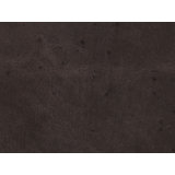 Wyatt Genuine Leather Task Chair