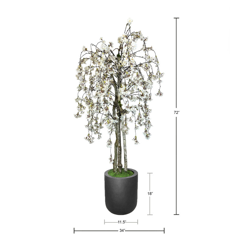 Faux Cherry Blossom Tree in Fiberstone Planter, 72" H x 34" W x 11.50" D