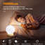 Darriel Wood Globe Lamp
