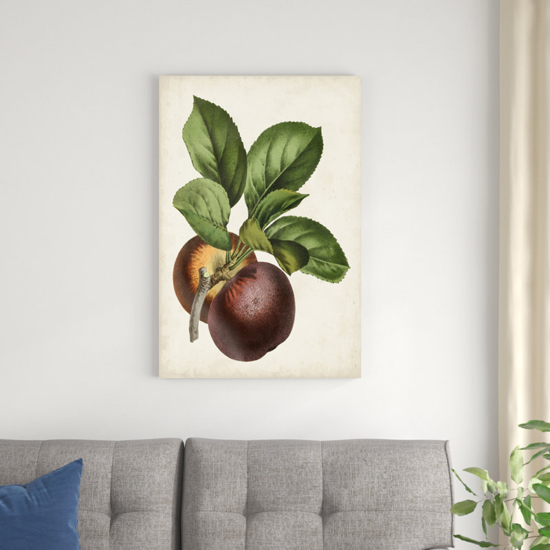 Antique Antique Fruit par Vision Studio - peinture sur toile tendue, H 36 po x l 24 po x P 1,25 po
