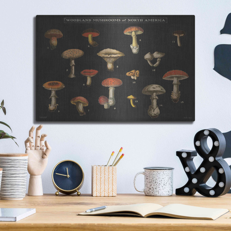 «Mushroom charte I» par Wild Apple Po