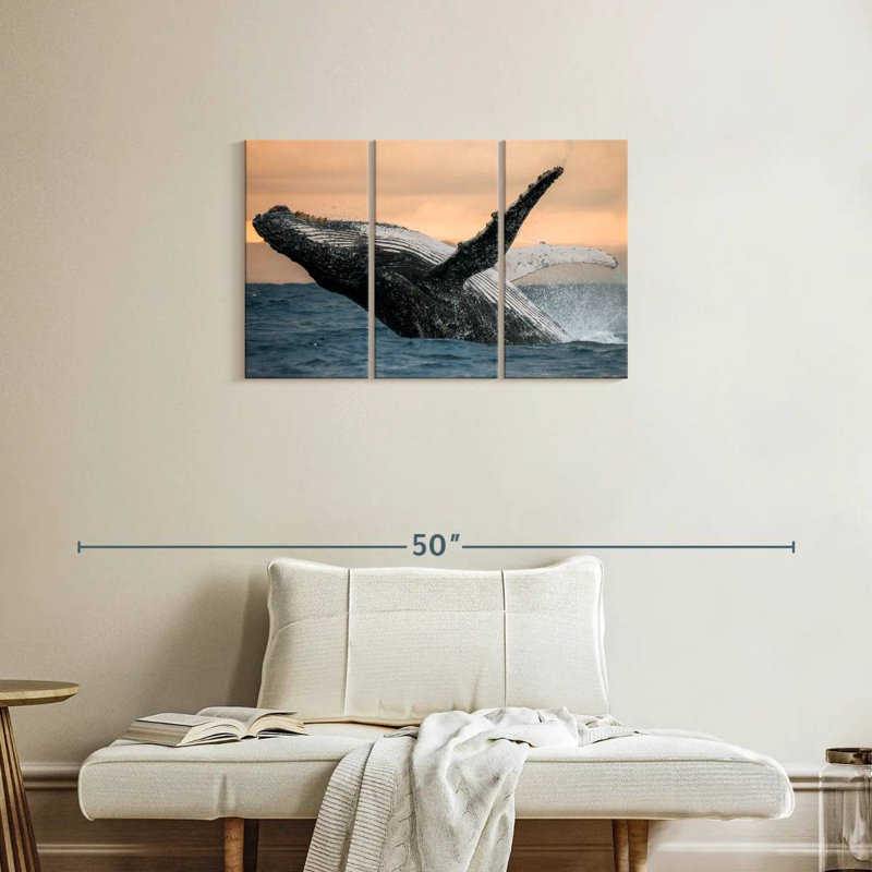 Baleine à bosse Brampt, H 20 po x l 33 po