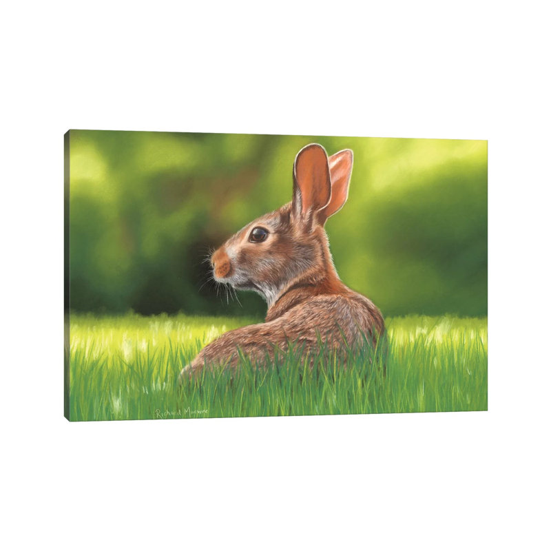 Rabbit by Richard Macwee - Gallery-Wrapped Canvas Giclée on Canvas, 20.32 cm H x 30.48 cm W, Canvas