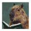 Toile de lecture cloutée Capybara, design par Studio Bautista-1840175879