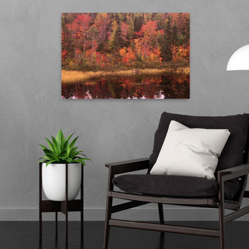 Forêt d'automne, Terre-Neuve, Canada, H 16 po x l 24 po