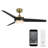 54" Mod 3 - Blade Outdoor/Indoor Smart Ceiling Fan with Remote Control and Dimmable LED Light Kit Included, Works With Google Assistant, Amazon Alexa, iOS And Android APP-55354968
