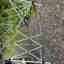 Photos des clients 1 de 1