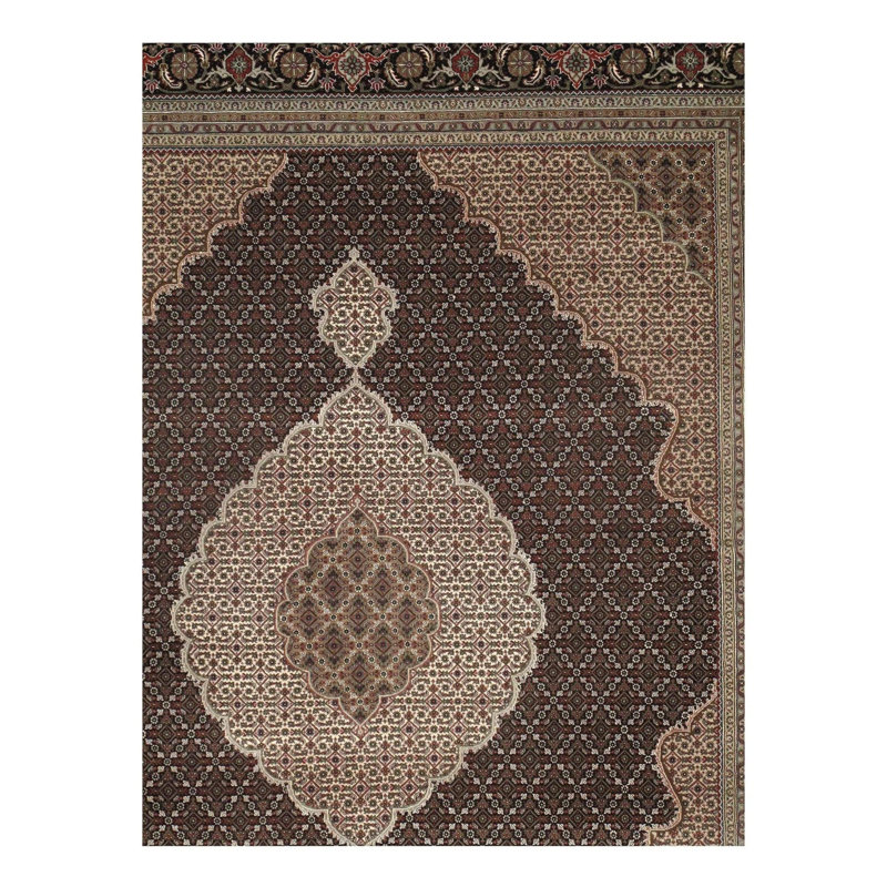 Oriental Area Rug in Brown