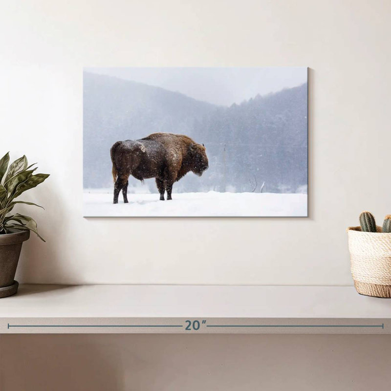 Brampt Romanian Bison, 8" H x 12" W