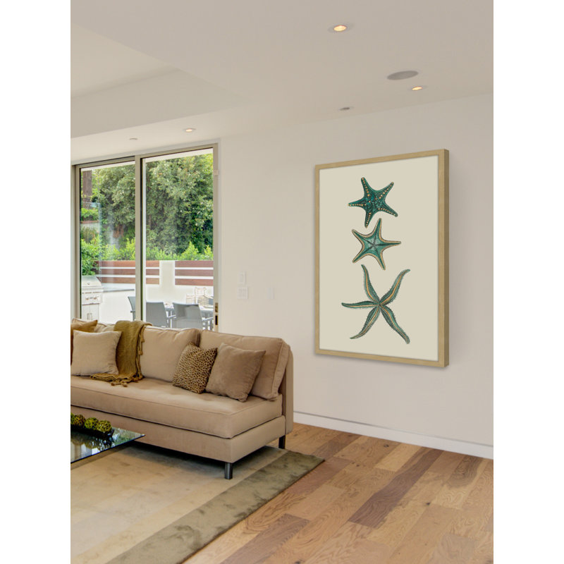 «Aqua Starfish», reproduction encadrée, H 24 po x l 16 po x P 1,5 po