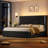 Sturminster Velvet Wingback Upholstered LED Light 2 Drawer Storage Bed-1878212720-1877972654