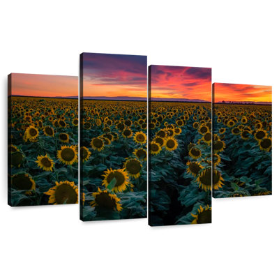 Alvord Sunflower Field Rows