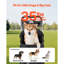 Poussette pour chien pliable pour animaux 4 roues transportable et amovible jusqu'à 35 lb